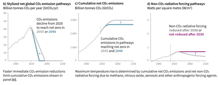 Stilisierte globale Netto-CO2-Emissionspfade in Mrd. Tonnen CO2/pro Jahr: Grafik b zeigt die notwendige CO2-Reduktion, um den Ausstoß bis 2040 beziehungsweise 2055 auf Null zu reduzieren. Quelle:  IPCC 2018 Special Report of Impacts of Global Warming of 1.5 Degrees Celsius